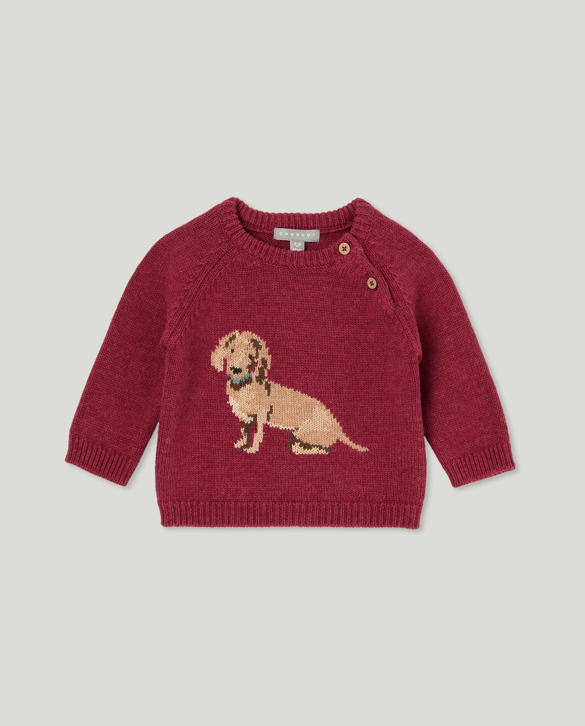 Детский свитер с воротником-стойкой и интарсией с таксой Coconut El Corte Inglés, бордовый
Детский свитер с воротником-стойкой и интарсией с таксой Coconut El Corte Inglés, бордовый