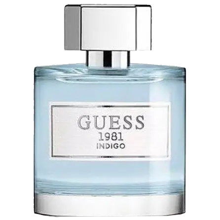 Guess 1981 Indigo туалетная вода для женщин, 100 мл
Guess 1981 Indigo туалетная вода для женщин, 100 мл