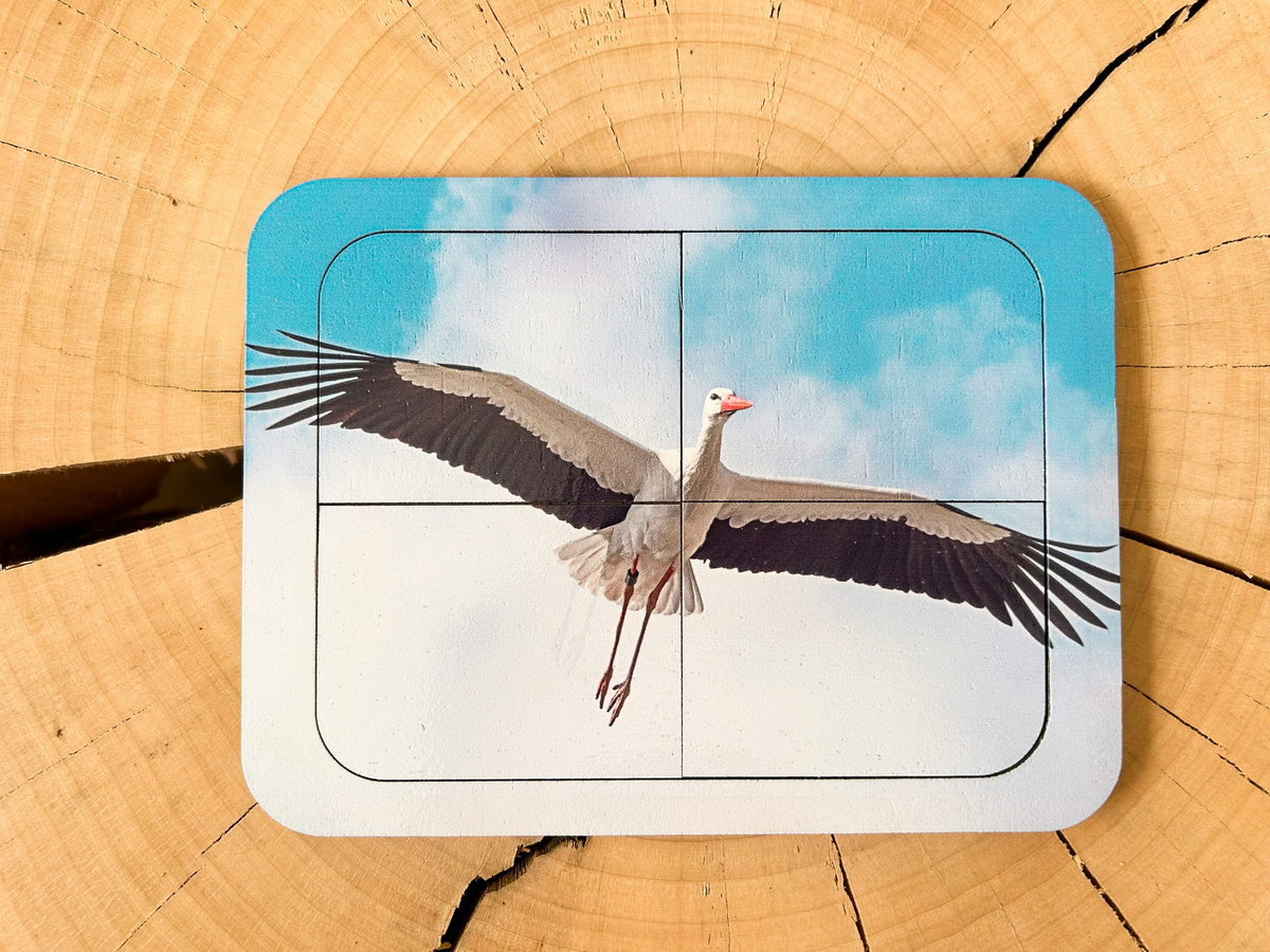 Аист, деревянный пазл с четырьмя элементами, основа с подписью, первый пазл Inna marka 
Аист, деревянный пазл с четырьмя элементами, основа с подписью, первый пазл Inna marka