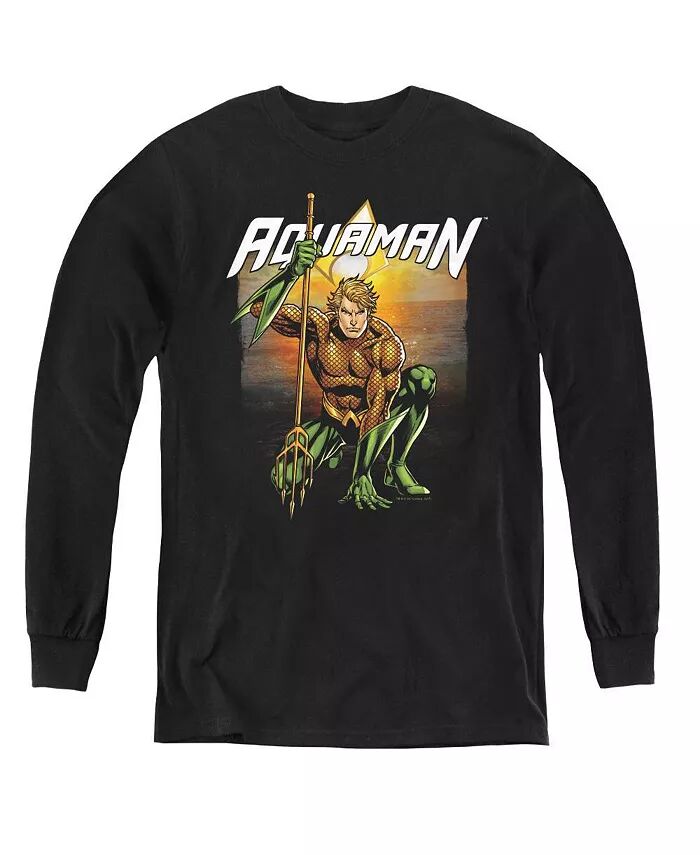 Свитшот с длинным рукавом Boys of America Youth Beach Sunset Justice League, черный
Свитшот с длинным рукавом Boys of America Youth Beach Sunset Justice League, черный