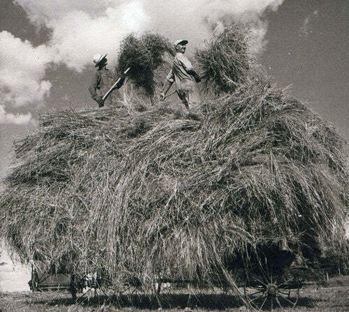 CD диск Whitmore, William Elliott: Field Songs 
CD диск Whitmore, William Elliott: Field Songs