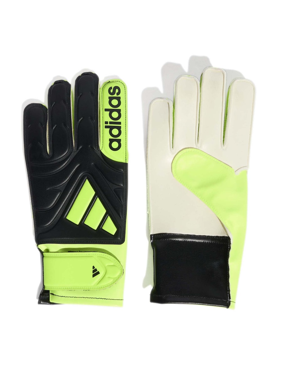 Спортивные перчатки ADIDAS PERFORMANCE, черный
Спортивные перчатки ADIDAS PERFORMANCE, черный