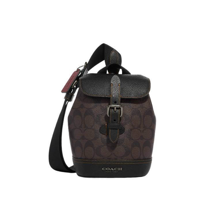 Сумка Coach Outlet Hudson Small In Signature Canvas, бронзовый/коричневый/черный
Сумка Coach Outlet Hudson Small In Signature Canvas, бронзовый/коричневый/черный