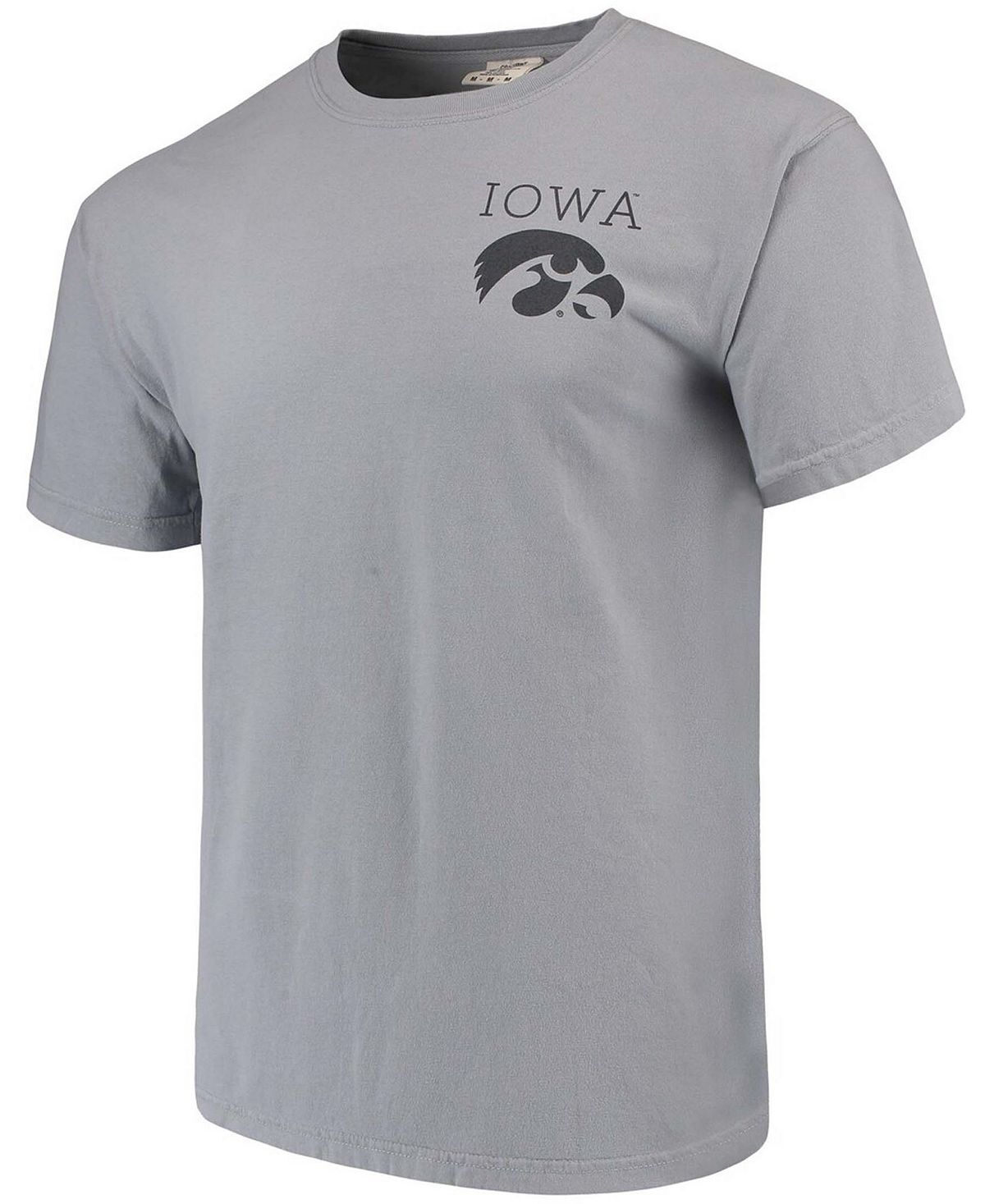 Мужская серая футболка iowa hawkeyes comfort colours campus scenery Image One, серый
Мужская серая футболка iowa hawkeyes comfort colours campus scenery Image One, серый