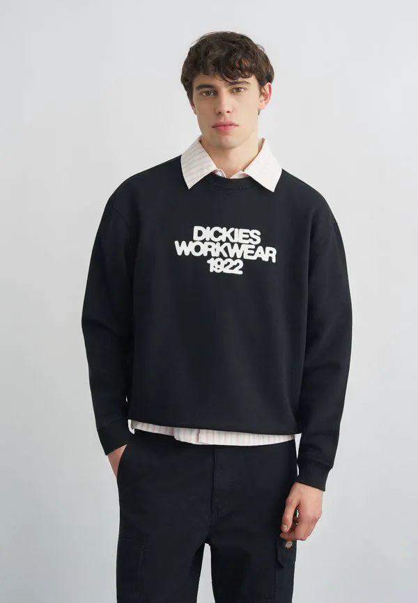 Толстовка торри Dickies, Black, Черный, Толстовка торри Dickies, Black
Толстовка торри Dickies, Black, Черный, Толстовка торри Dickies, Black