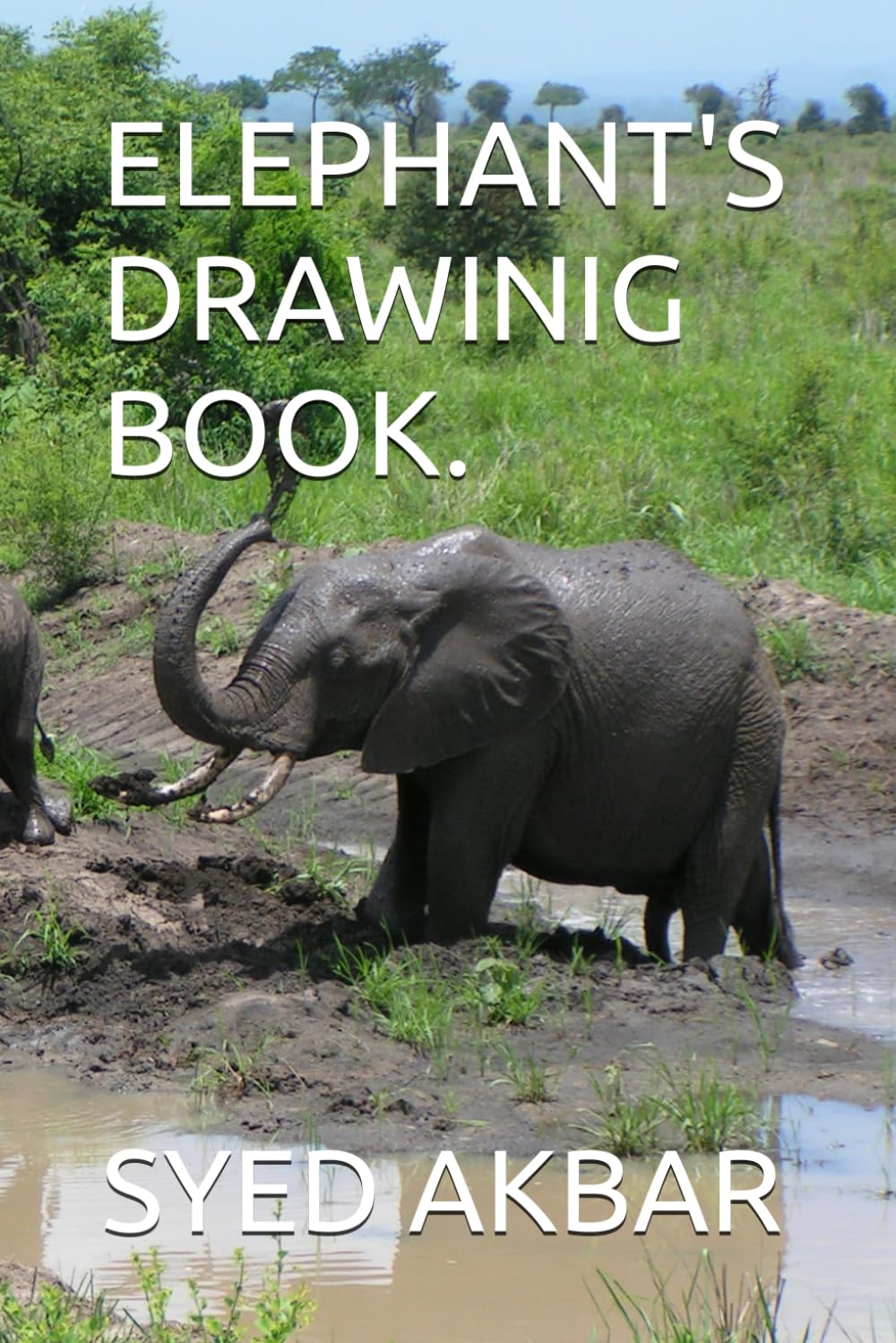 ELEPHANT'S DRAWINIG BOOK (Independently published)
ELEPHANT'S DRAWINIG BOOK (Independently published)