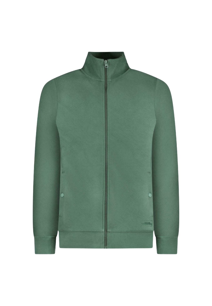 Толстовка Cars Jeans TAYLEN, Bottle/Green, Зеленый, Толстовка Cars Jeans TAYLEN, Bottle/Green
Толстовка Cars Jeans TAYLEN, Bottle/Green, Зеленый, Толстовка Cars Jeans TAYLEN, Bottle/Green