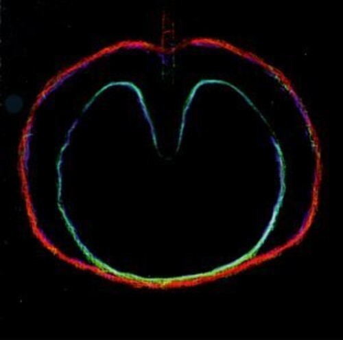 CD диск XTC: Wasp Star (Apple Venus Vol. II)
CD диск XTC: Wasp Star (Apple Venus Vol. II)