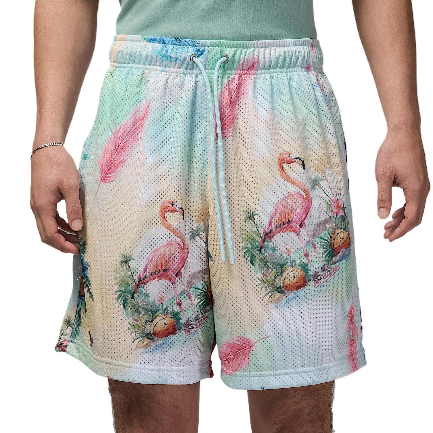 Основные мужские шорты Printed Mesh Jordan, синий
Основные мужские шорты Printed Mesh Jordan, синий