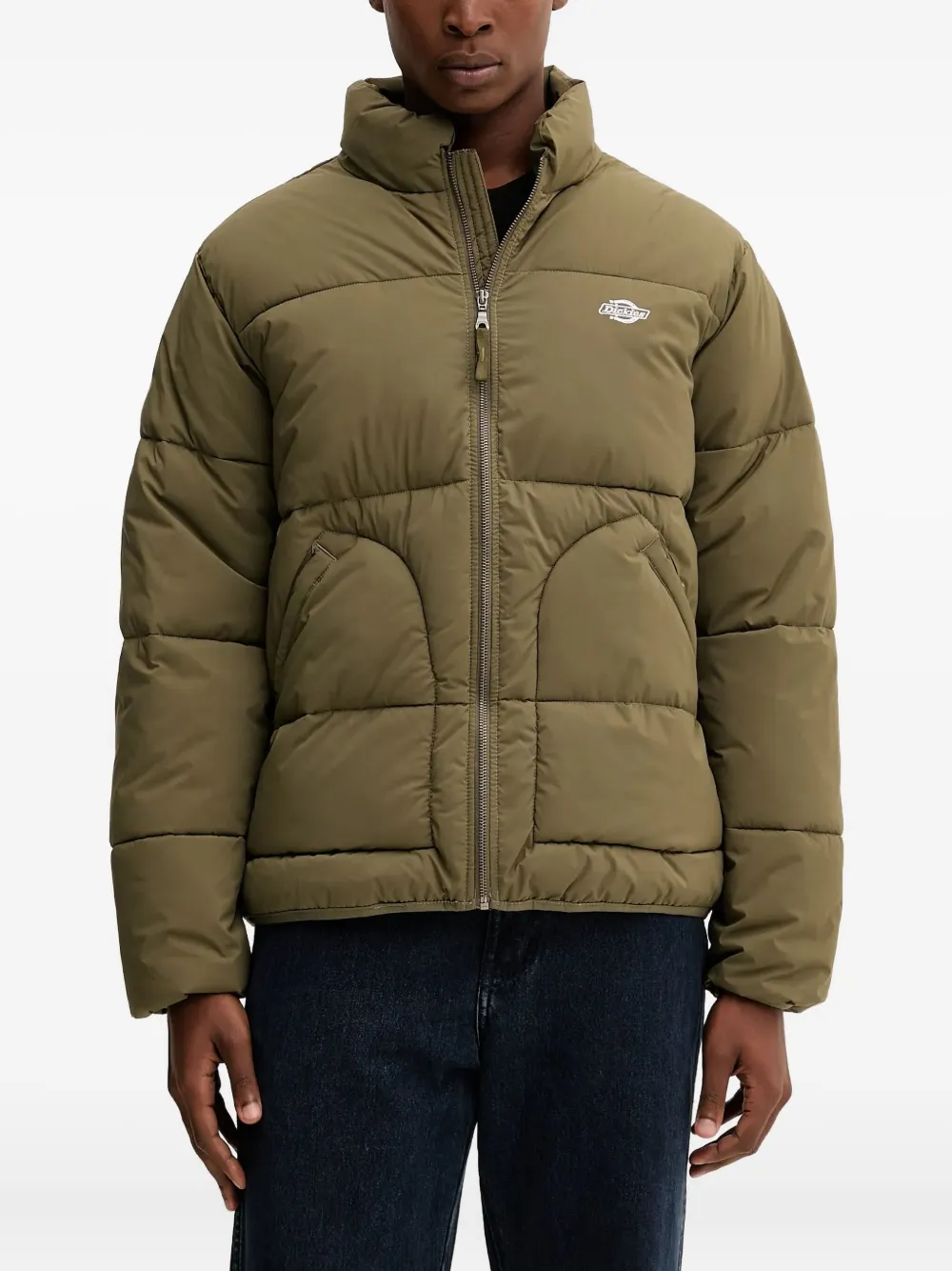 Стеганая куртка Summerdale с логотипом Dickies, зеленый
Стеганая куртка Summerdale с логотипом Dickies, зеленый