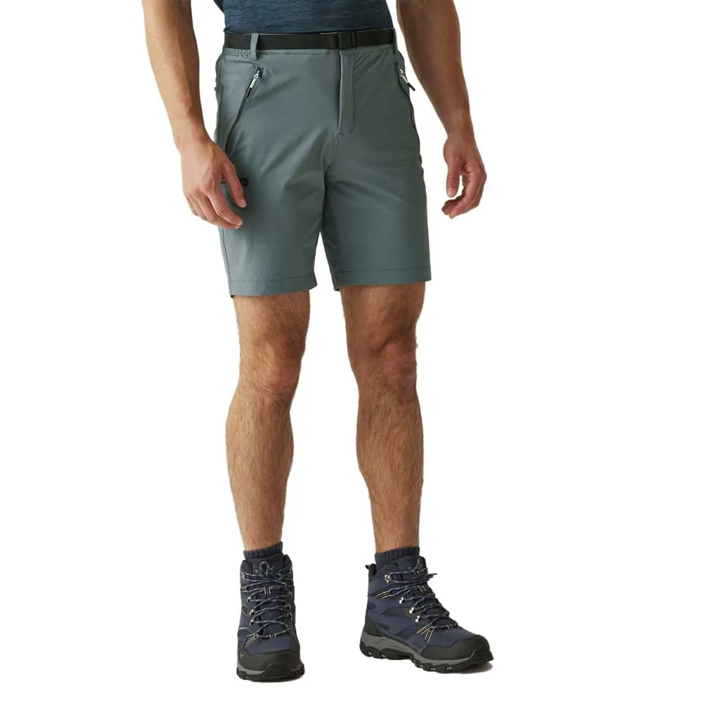 Шорты Regatta Xert Stretch III, серый
Шорты Regatta Xert Stretch III, серый