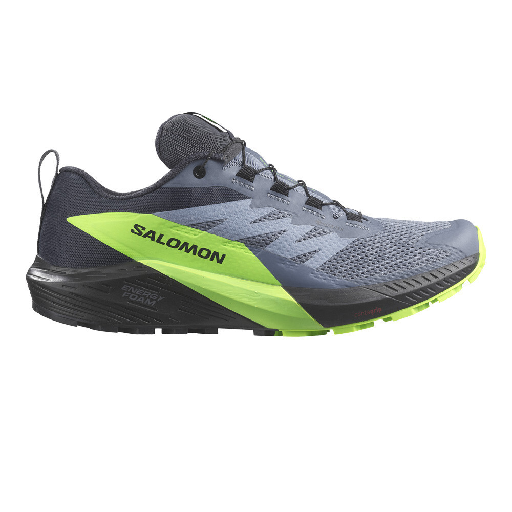 Кроссовки для бега Salomon Sense Ride 5 GORE-TEX Trail, серый 
Кроссовки для бега Salomon Sense Ride 5 GORE-TEX Trail, серый