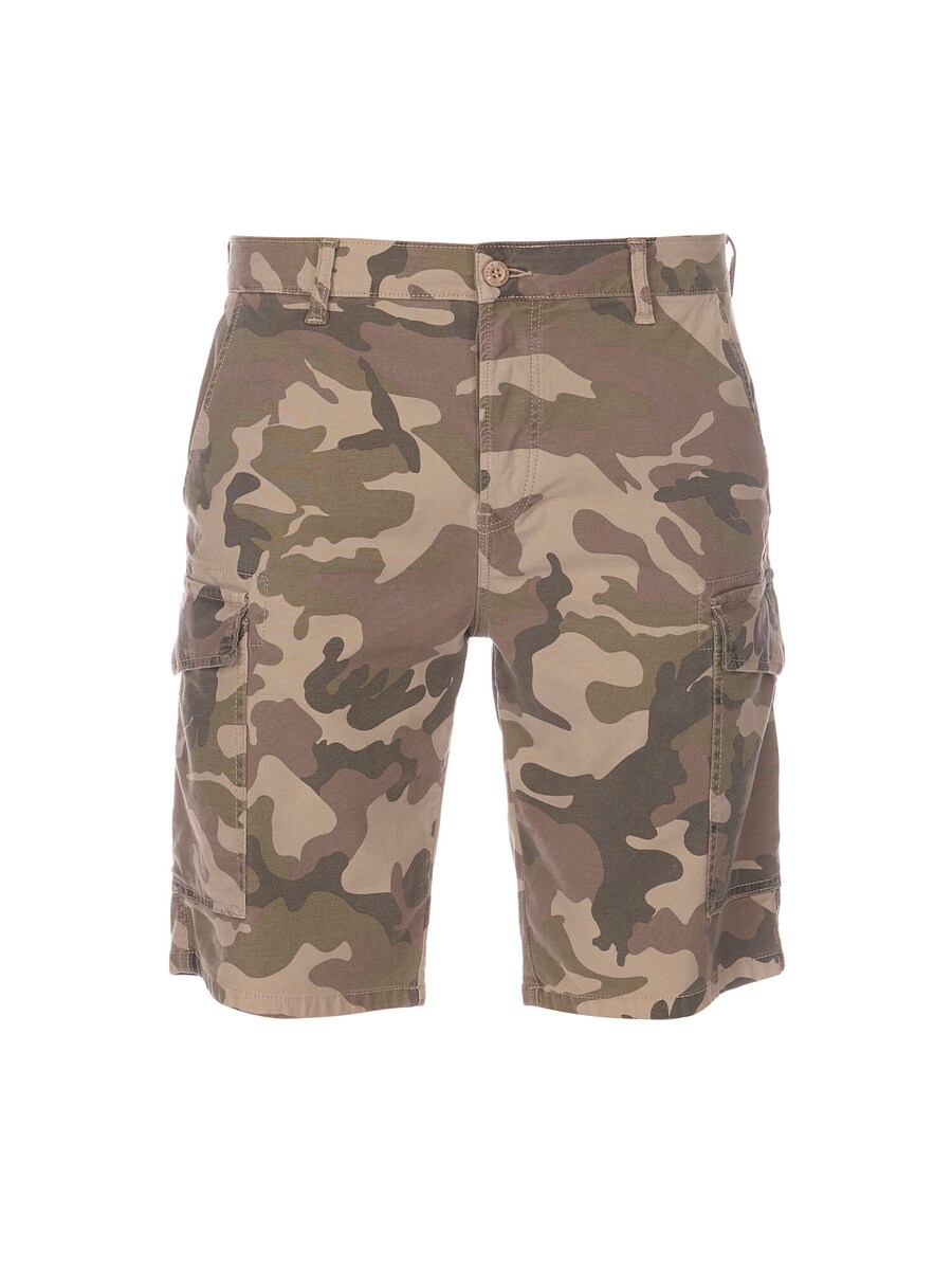 Повседневные брюки Le Temps Des Cerises Camo, Beige/Light beige/Dark beige
Повседневные брюки Le Temps Des Cerises Camo, Beige/Light beige/Dark beige