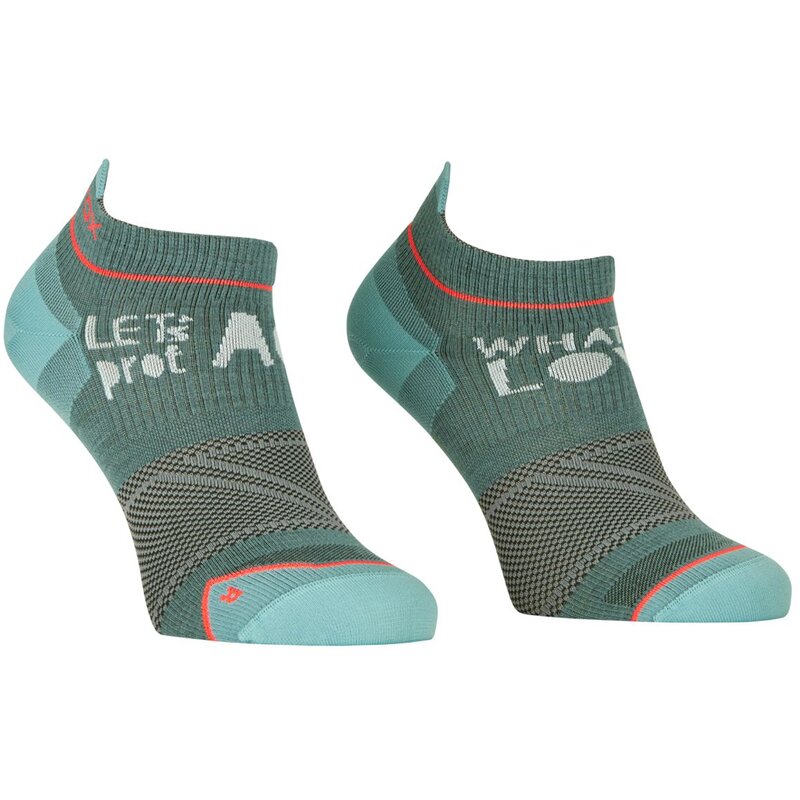 Легкие низкие носки Alpine Ortovox, серый
Легкие низкие носки Alpine Ortovox, серый