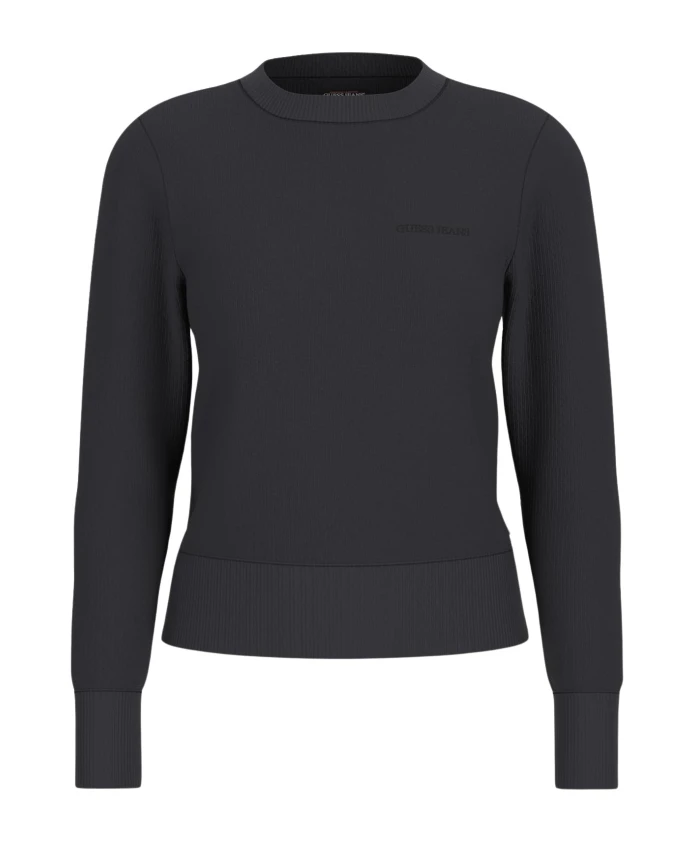 Черный свитер с вышивкой Guess, черный
Черный свитер с вышивкой Guess, черный