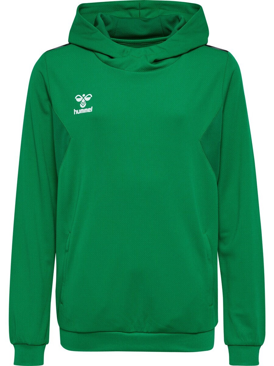 Спортивная толстовка Hummel AUTHENTIC, зеленый
Спортивная толстовка Hummel AUTHENTIC, зеленый