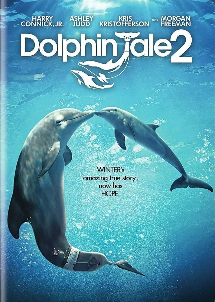 Диск DVD Dolphin Tale 2
Диск DVD Dolphin Tale 2