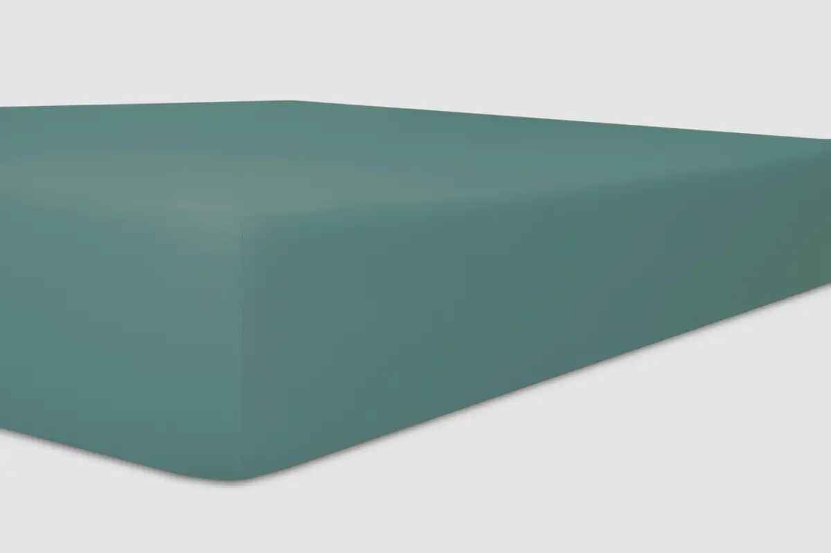 Простыня на коленях "Easy-Stretch", оптимальная посадка Kneer 140-160х200-220 см, 1 шт., цвет salbei
Простыня на коленях "Easy-Stretch", оптимальная посадка Kneer 140-160х200-220 см, 1 шт., цвет salbei