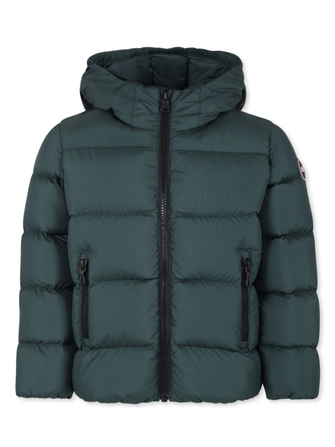 Colmar Kids куртка с логотипом-нашивкой, зеленый
Colmar Kids куртка с логотипом-нашивкой, зеленый