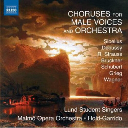 CD диск Sibelius / Stenbaeck / Lund Student Singers: Choruses for Male Voices & Orhestra
CD диск Sibelius / Stenbaeck / Lund Student Singers: Choruses for Male Voices & Orhestra