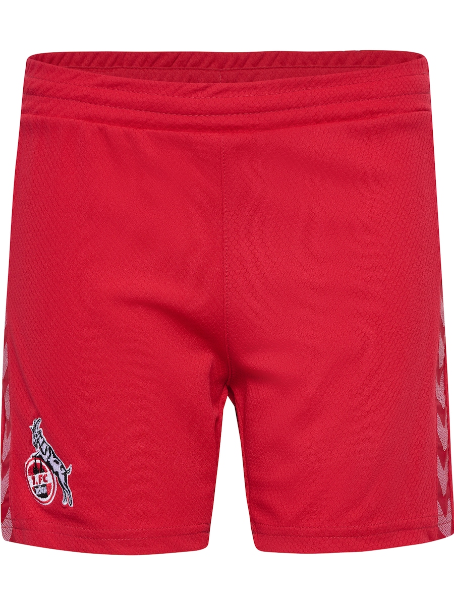 Обычные спортивные штаны Hummel FC Köln, Cranberry
Обычные спортивные штаны Hummel FC Köln, Cranberry