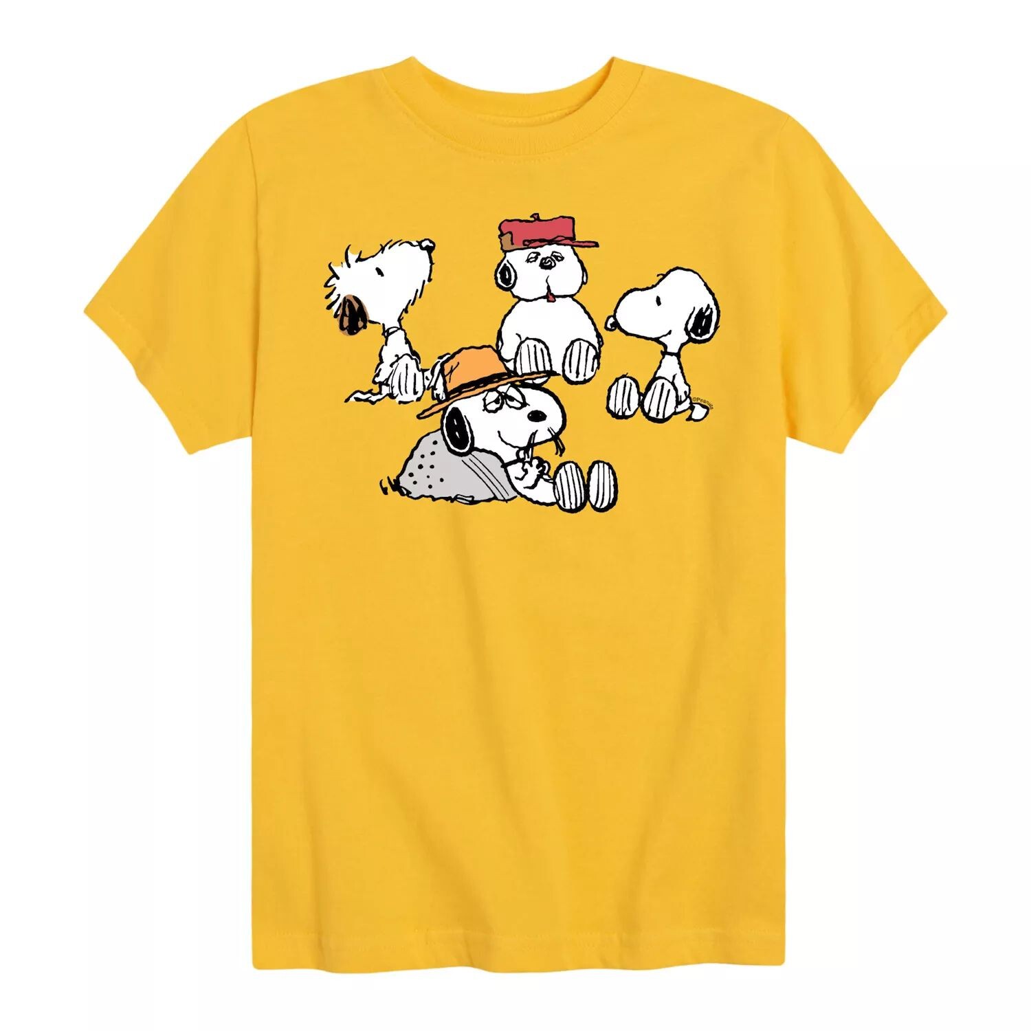 Футболка с рисунком Peanuts Snoopy Siblings для мальчиков 8–20 лет Licensed Character, желтый
Футболка с рисунком Peanuts Snoopy Siblings для мальчиков 8–20 лет Licensed Character, желтый