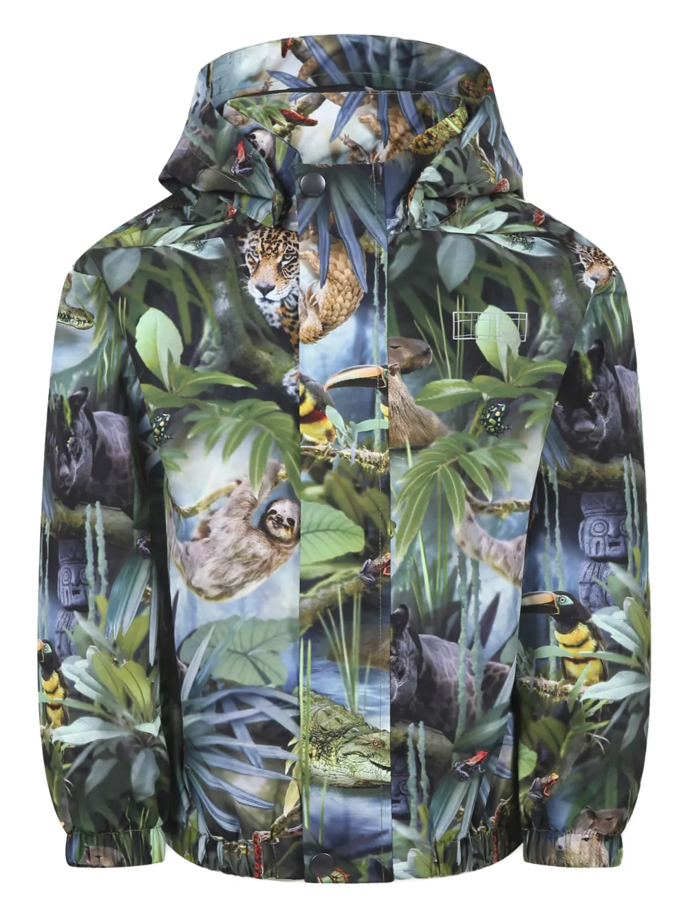 Куртка с принтом Molo, зеленый
Куртка с принтом Molo, зеленый