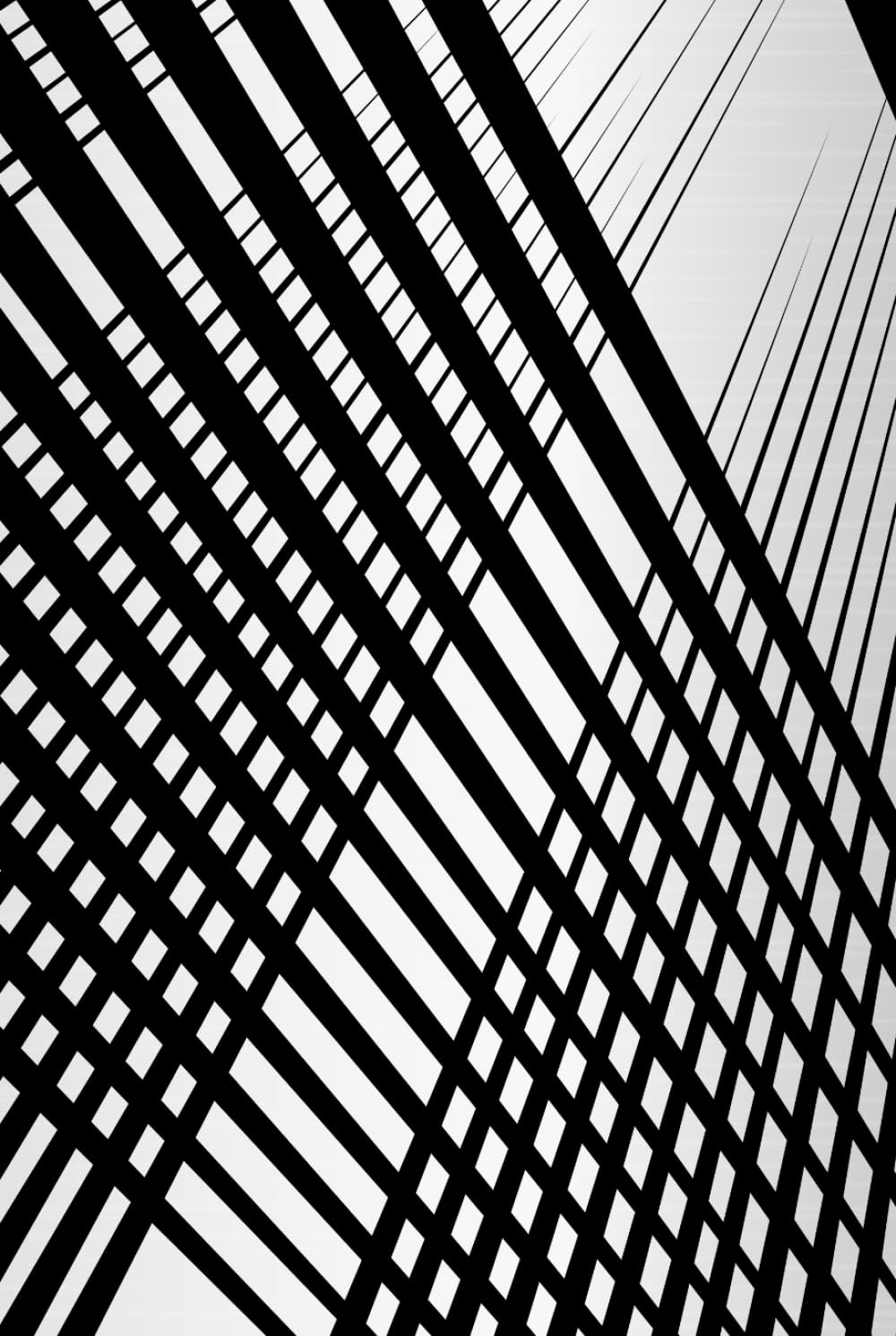 Unlined notebook, 6x9, 150 pages, with cute little rabbits and birds at the corners of the pages, designed for free writing, recording, decorating, ... your work, your ideas, truly unique (Independently published)
Unlined notebook, 6x9, 150 pages, with cute little rabbits and birds at the corners of the pages, designed for free writing, recording, decorating, ... your work, your ideas, truly unique (Independently published)