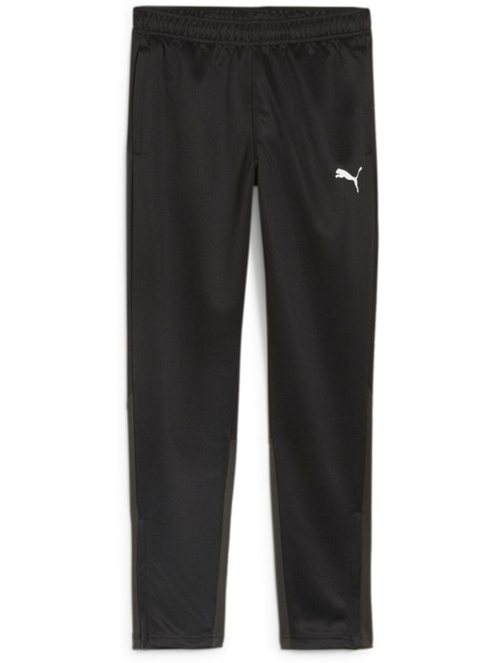 Спортивные брюки TeamGoal Training Pant Jr. черного цвета Puma
Спортивные брюки TeamGoal Training Pant Jr. черного цвета Puma
