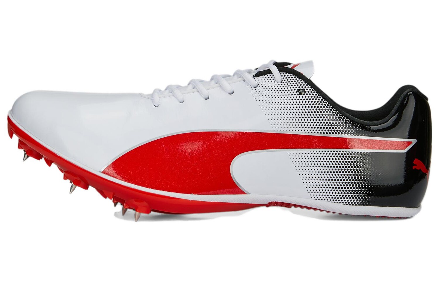Кроссовки Puma Evospeed Sprint 14 унисекс, White, Белый, Кроссовки Puma Evospeed Sprint 14 унисекс, White
Кроссовки Puma Evospeed Sprint 14 унисекс, White, Белый, Кроссовки Puma Evospeed Sprint 14 унисекс, White