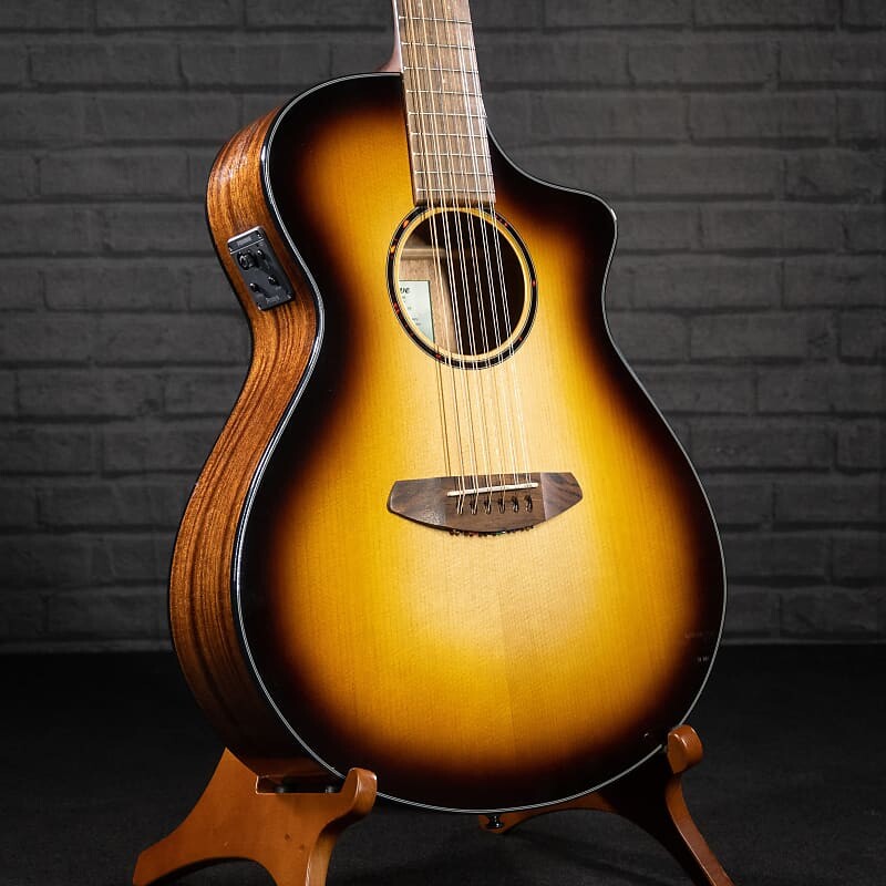 Breedlove Discovery S Concert 12-String (Edgeburst)
Breedlove Discovery S Concert 12-String (Edgeburst)
