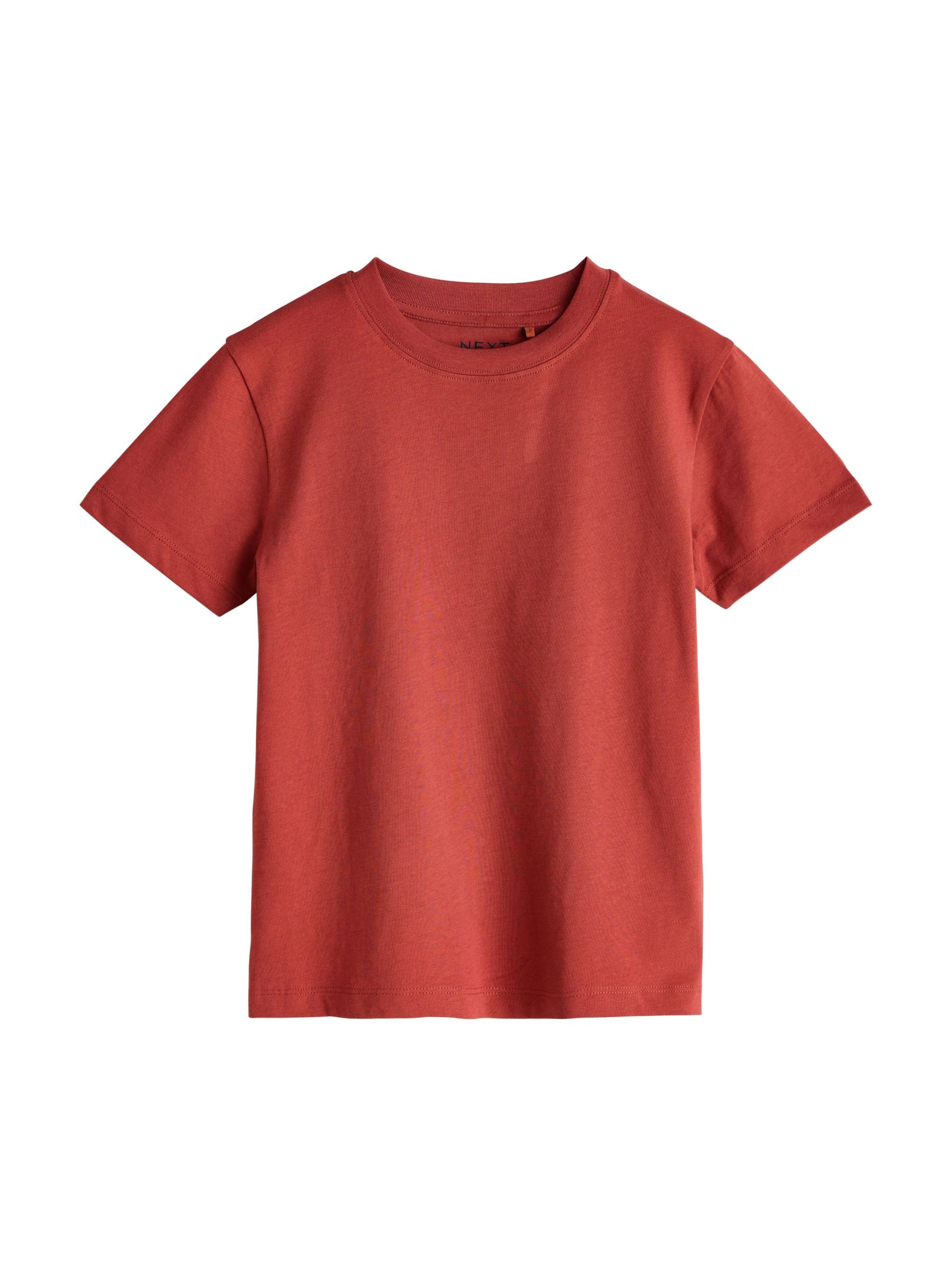 Next Футболка в рыжем цвете Rusty Red
Next Футболка в рыжем цвете Rusty Red