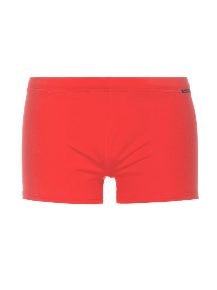 Плавки Wave Line 2.0 красного цвета Bruno Banani
Плавки Wave Line 2.0 красного цвета Bruno Banani