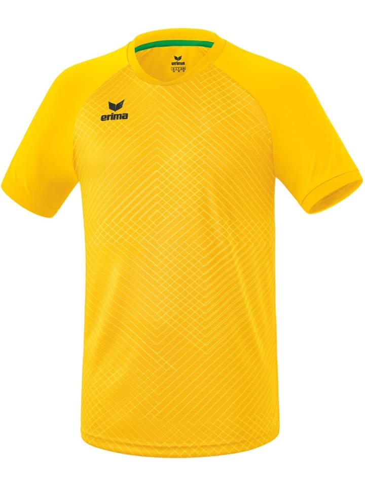 Функциональная рубашка Madrid Trikot erima, желтый
Функциональная рубашка Madrid Trikot erima, желтый