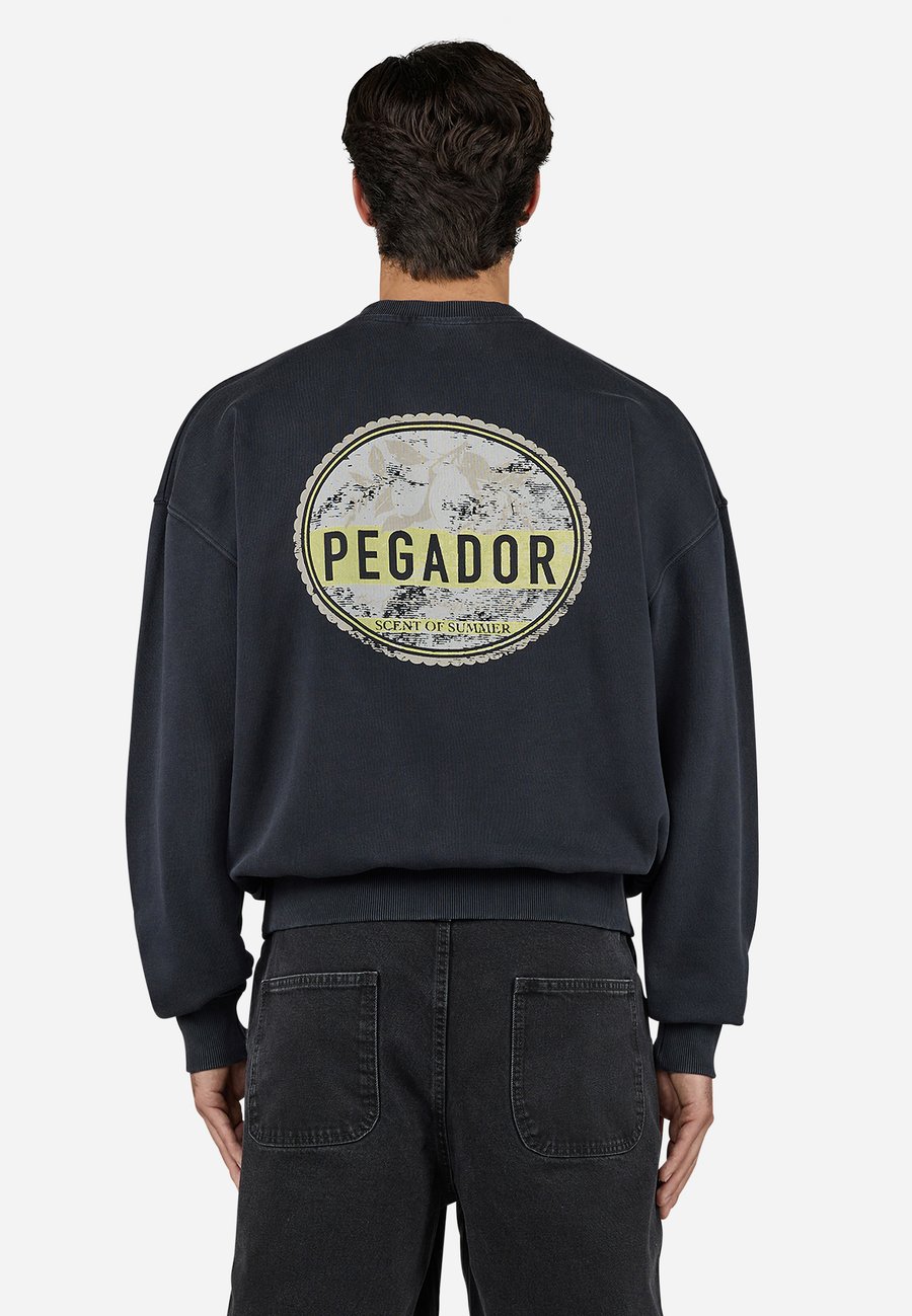 Толстовка Pegador VANOS OVERSIZED, Vintage Black/Black
Толстовка Pegador VANOS OVERSIZED, Vintage Black/Black