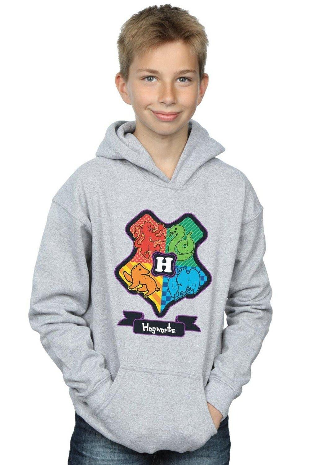 Толстовка с гербом Хогвартса Harry Potter, серый
Толстовка с гербом Хогвартса Harry Potter, серый