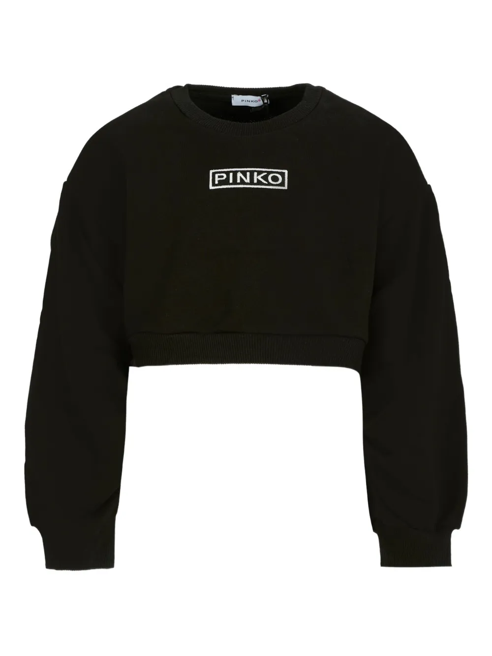 Толстовка с вышитым логотипом Pinko Kids, черный
Толстовка с вышитым логотипом Pinko Kids, черный