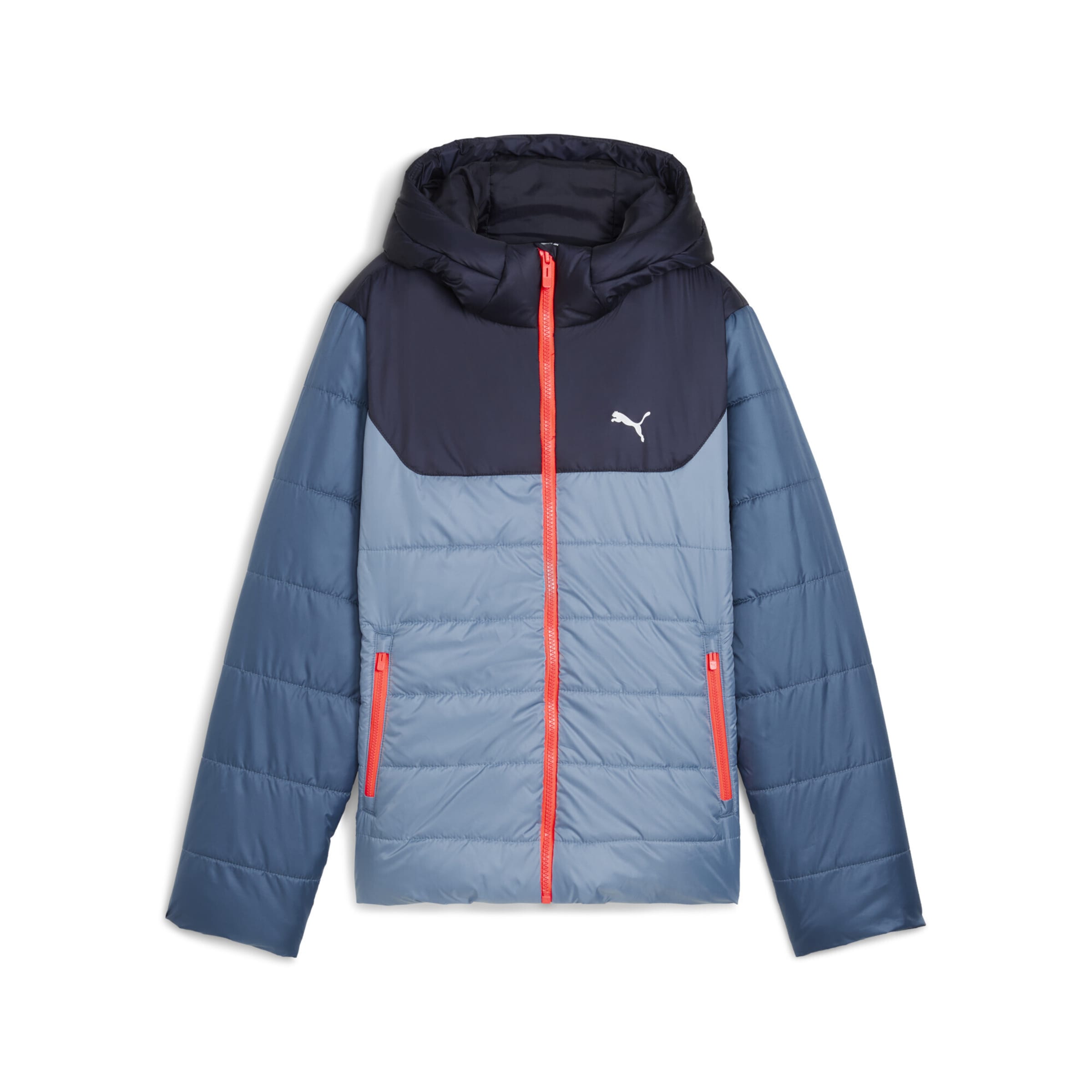 PUMA Куртка зимняя 'Essentials' в цвете Blue, Marine Blue, Pastel Blue
PUMA Куртка зимняя 'Essentials' в цвете Blue, Marine Blue, Pastel Blue