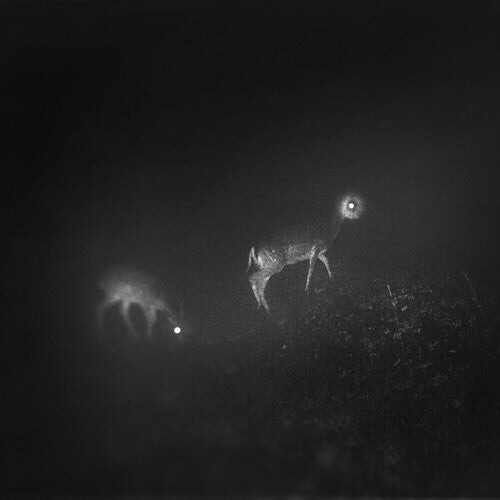 CD диск Bliss Signal: Bliss Signal
CD диск Bliss Signal: Bliss Signal