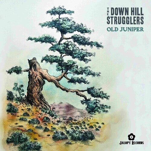Виниловая пластинка Down Hill Strugglers: Old Juniper 
Виниловая пластинка Down Hill Strugglers: Old Juniper