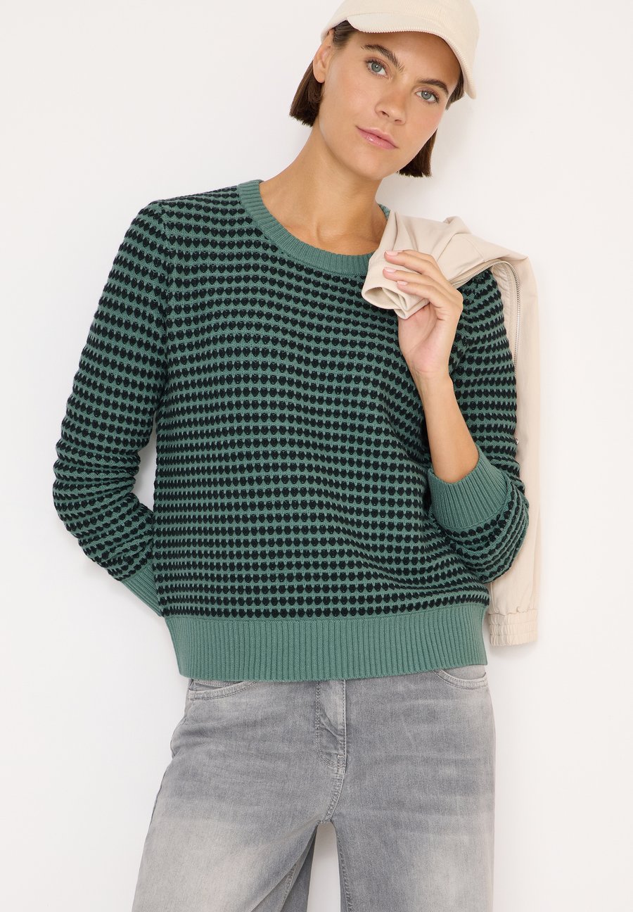 Джемпер Cecil TWO-TONE STRUKTUR, Grün/Green
Джемпер Cecil TWO-TONE STRUKTUR, Grün/Green