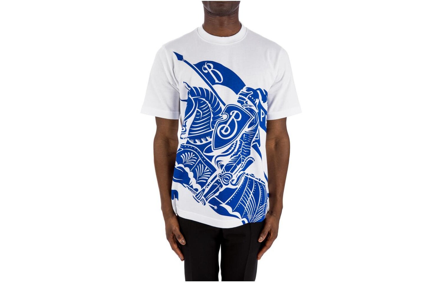 Футболка из хлопка с принтом EKD Burberry, белый
Футболка из хлопка с принтом EKD Burberry, белый