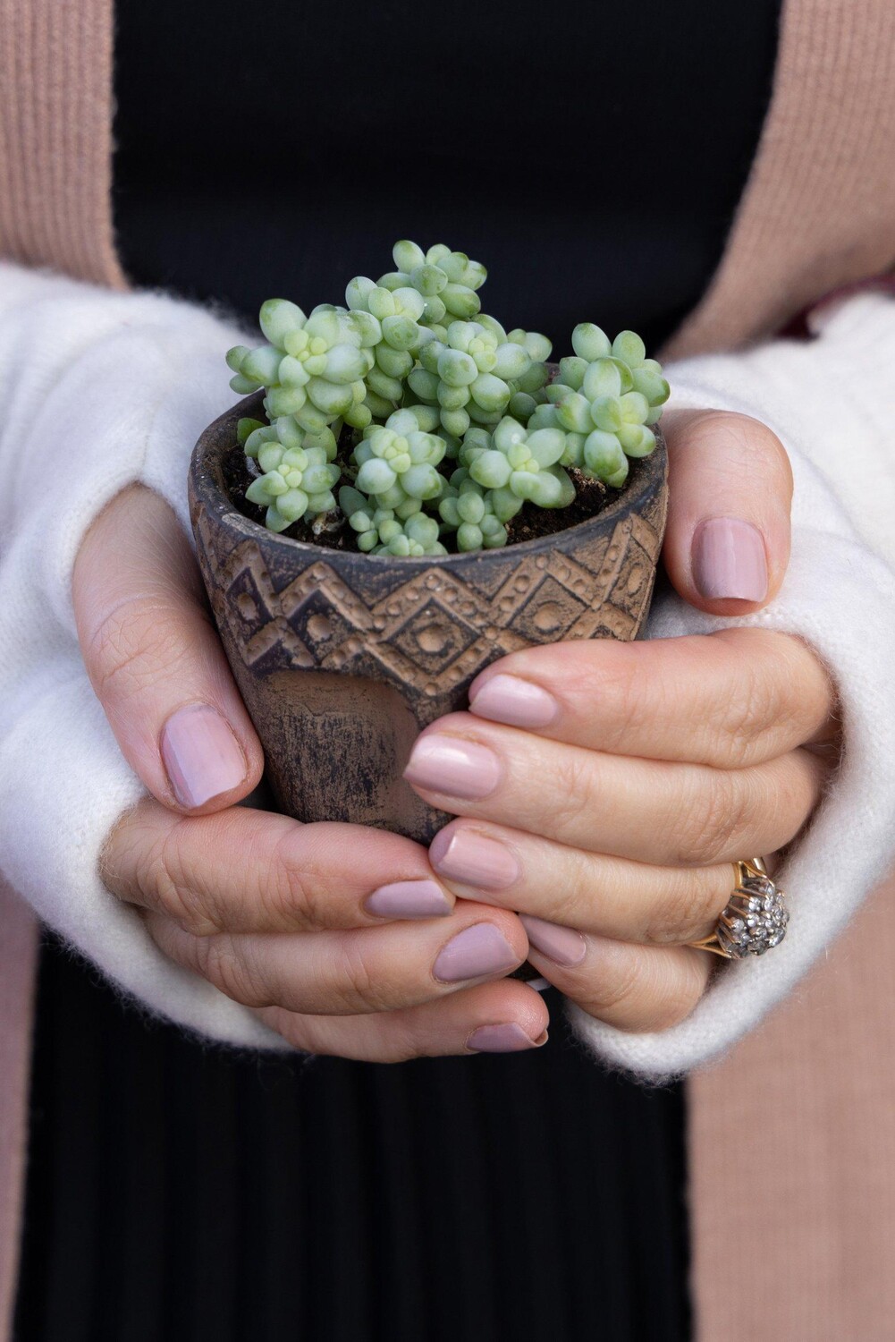 Кашемировые перчатки без пальцев Turtle Doves, белый
Кашемировые перчатки без пальцев Turtle Doves, белый