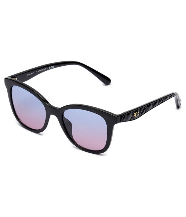 Солнцезащитные очки Coach, черный
Солнцезащитные очки Coach, черный