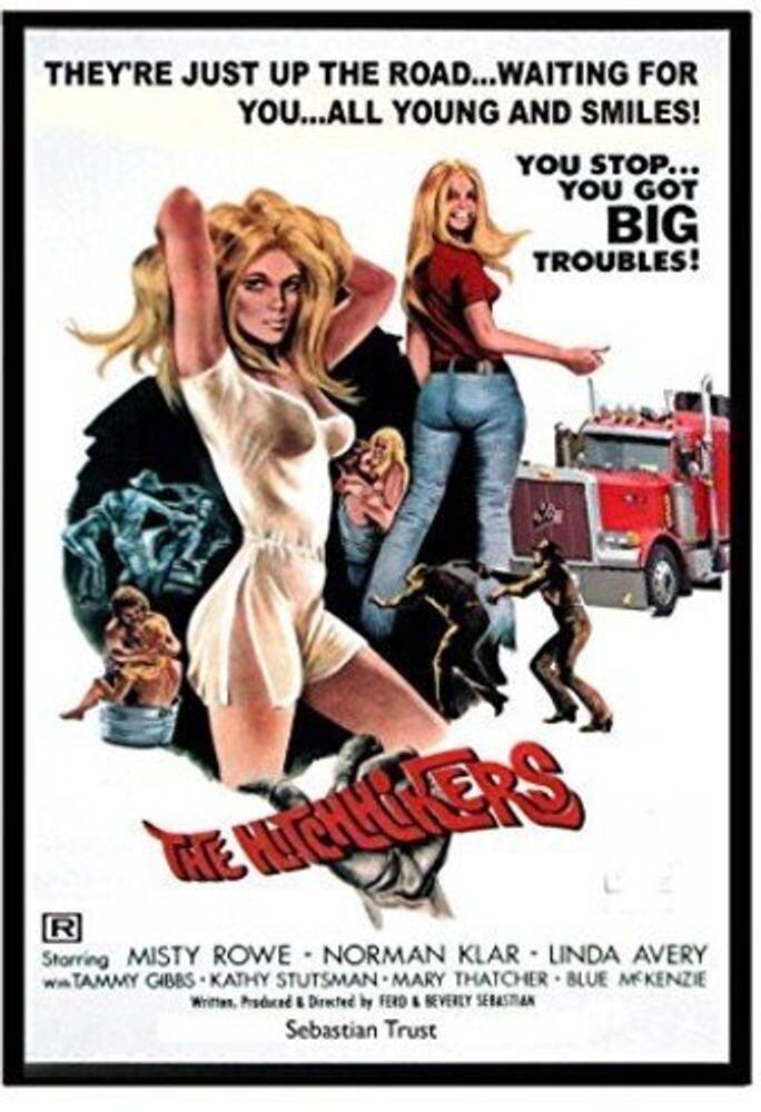 Диск DVD Hitchhikers
Диск DVD Hitchhikers