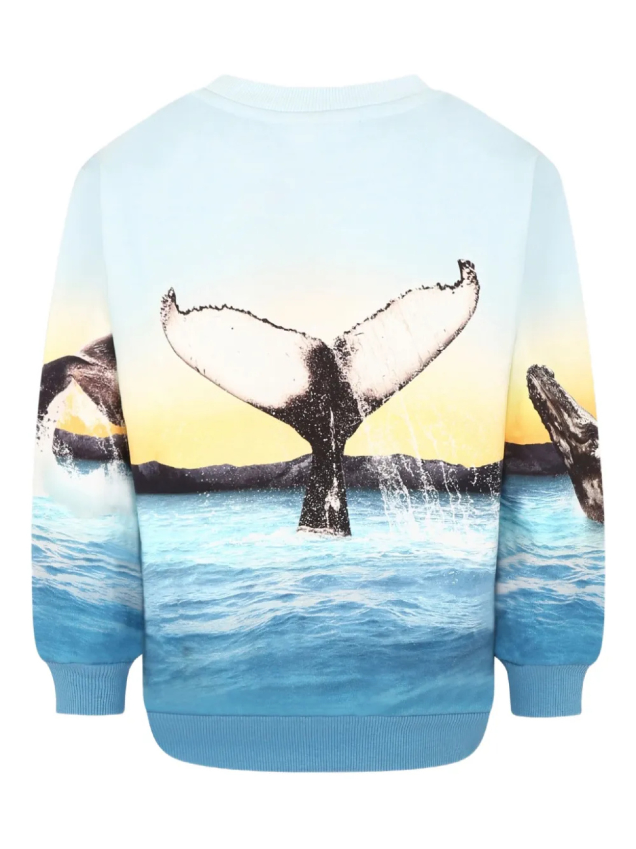 Толстовка с принтом кита Molo, синий
Толстовка с принтом кита Molo, синий