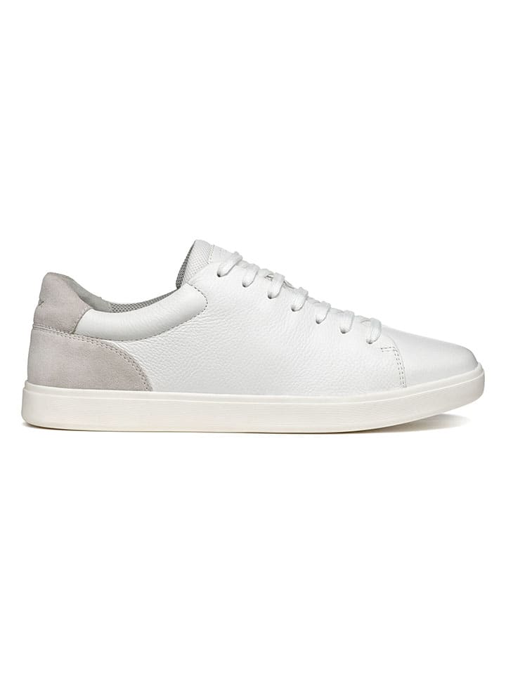 Низкие кроссовки Geox
Низкие кроссовки Geox