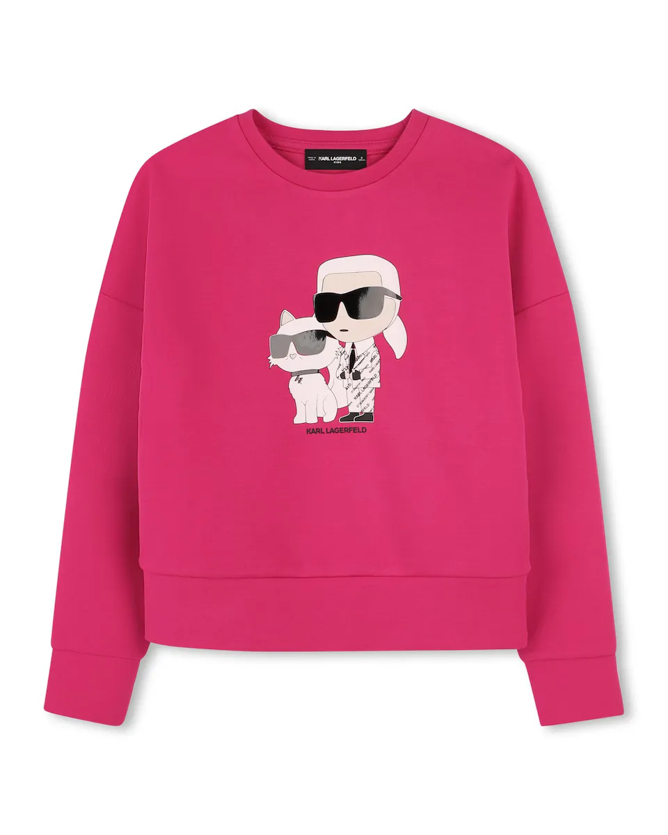 Девичий свитшот с длинными рукавами розового цвета Karl Lagerfeld Kids, цвет Rosa
Девичий свитшот с длинными рукавами розового цвета Karl Lagerfeld Kids, цвет Rosa