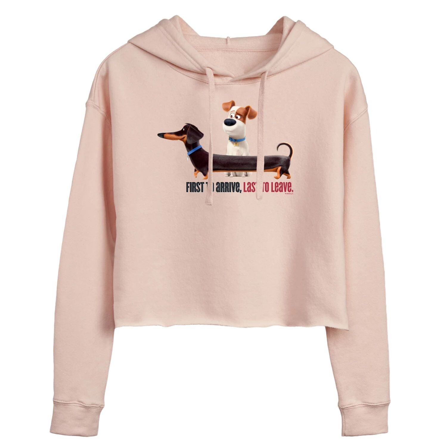 Укороченная толстовка с рисунком Juniors' Secret Life Of Pets Licensed Character
Укороченная толстовка с рисунком Juniors' Secret Life Of Pets Licensed Character