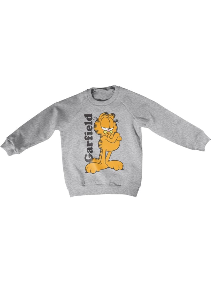 Детская толстовка серого цвета Garfield
Детская толстовка серого цвета Garfield